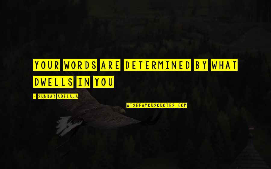 Unforgivable Quotes Quotes By Sunday Adelaja: Your words are determined by what dwells in
