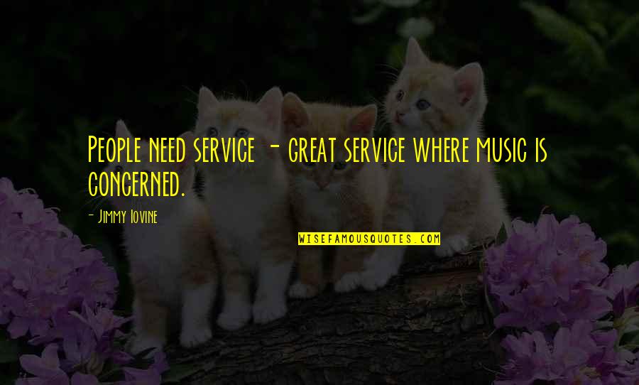 Unfriendliness Quotes By Jimmy Iovine: People need service - great service where music
