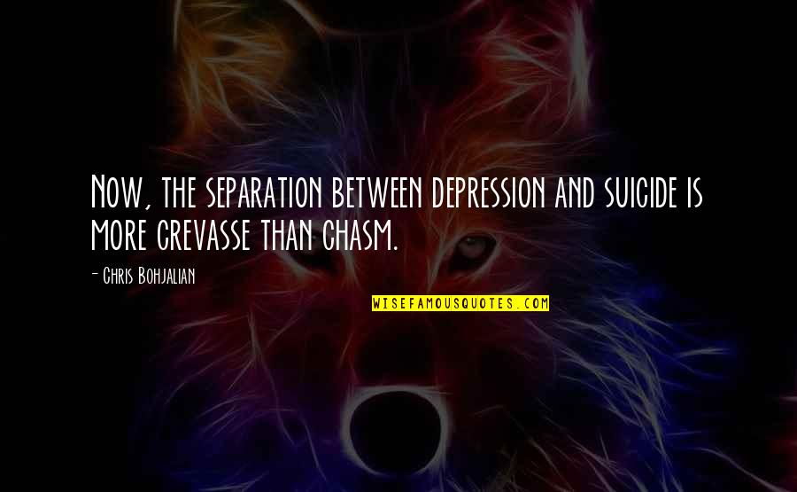 Ungelded Quotes By Chris Bohjalian: Now, the separation between depression and suicide is