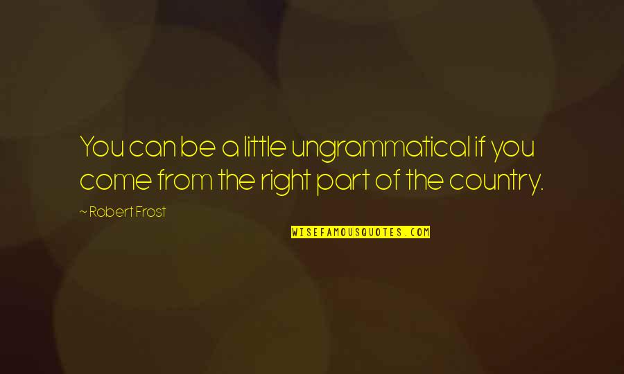 Ungrammatical Quotes By Robert Frost: You can be a little ungrammatical if you