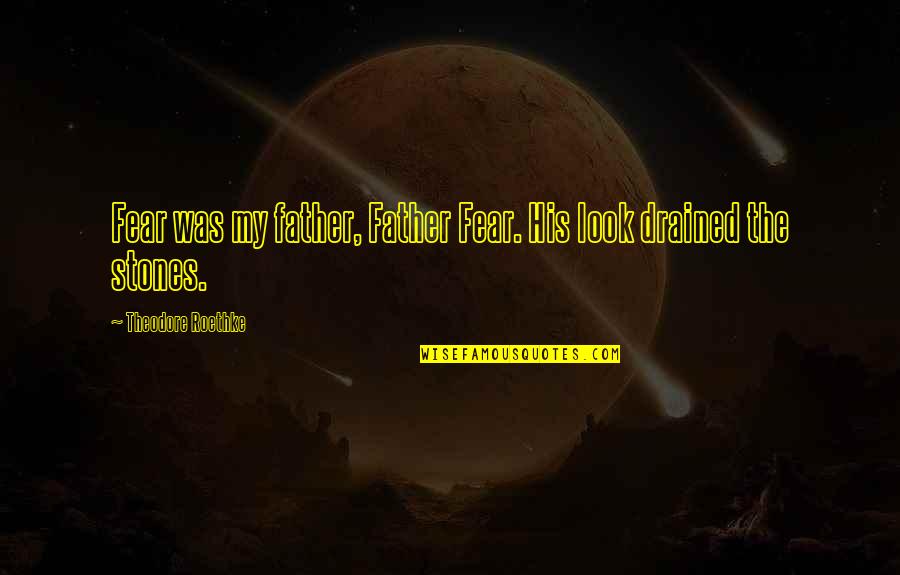 Ungreased Quotes By Theodore Roethke: Fear was my father, Father Fear. His look