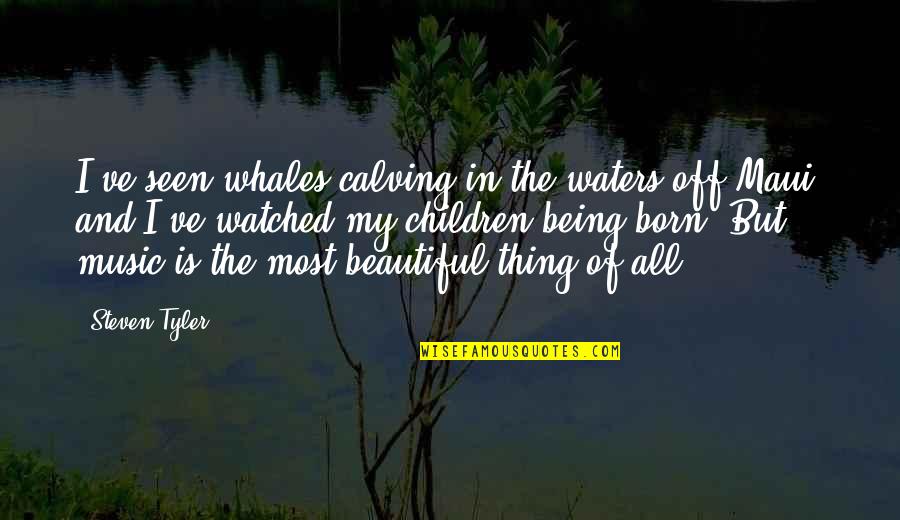 Ungreedy Quotes By Steven Tyler: I've seen whales calving in the waters off Ungreedy Quotes By Steven Tyler: I've seen whales calving in the waters off