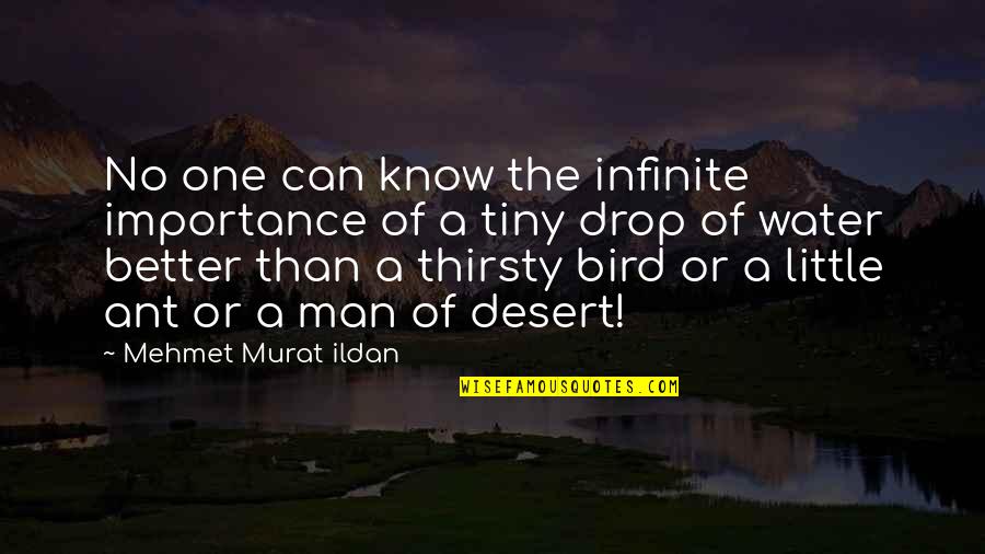 Unguru Bulan Quotes By Mehmet Murat Ildan: No one can know the infinite importance of Unguru Bulan Quotes By Mehmet Murat Ildan: No one can know the infinite importance of