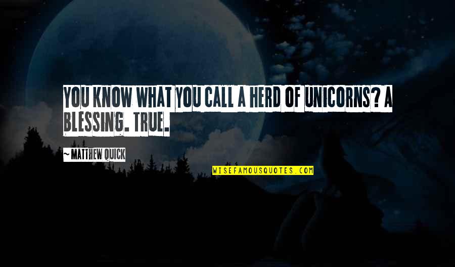 Unicorns Quotes By Matthew Quick: You know what you call a herd of