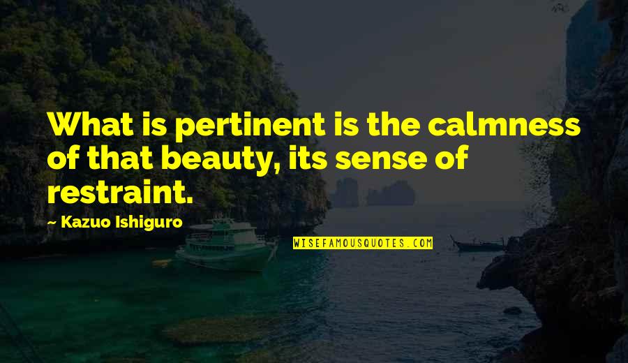 Uniendoscopia Quotes By Kazuo Ishiguro: What is pertinent is the calmness of that