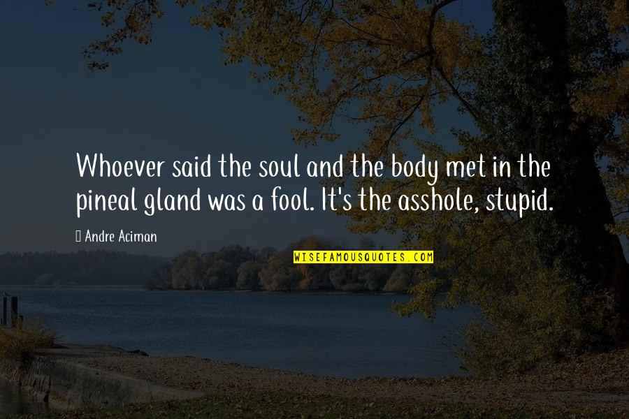 Unifs Quotes By Andre Aciman: Whoever said the soul and the body met