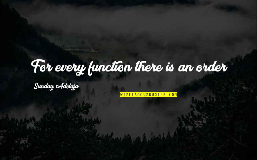 Unimagine Album Quotes By Sunday Adelaja: For every function there is an order Unimagine Album Quotes By Sunday Adelaja: For every function there is an order