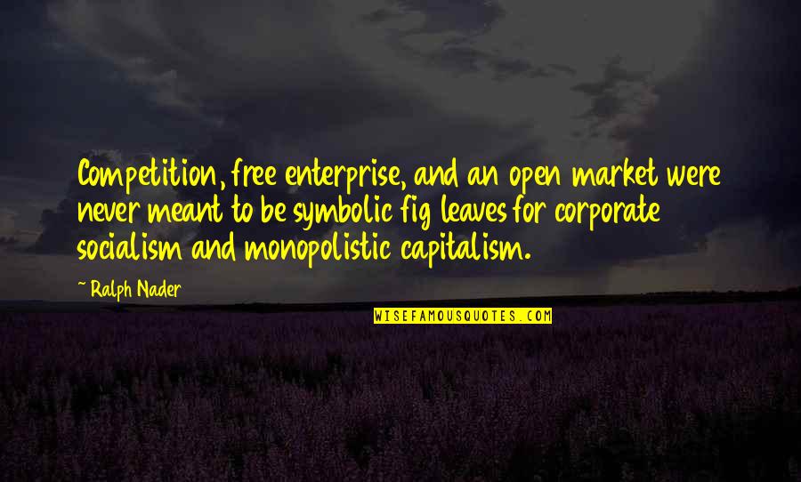 Uninitiated Goose Quotes By Ralph Nader: Competition, free enterprise, and an open market were