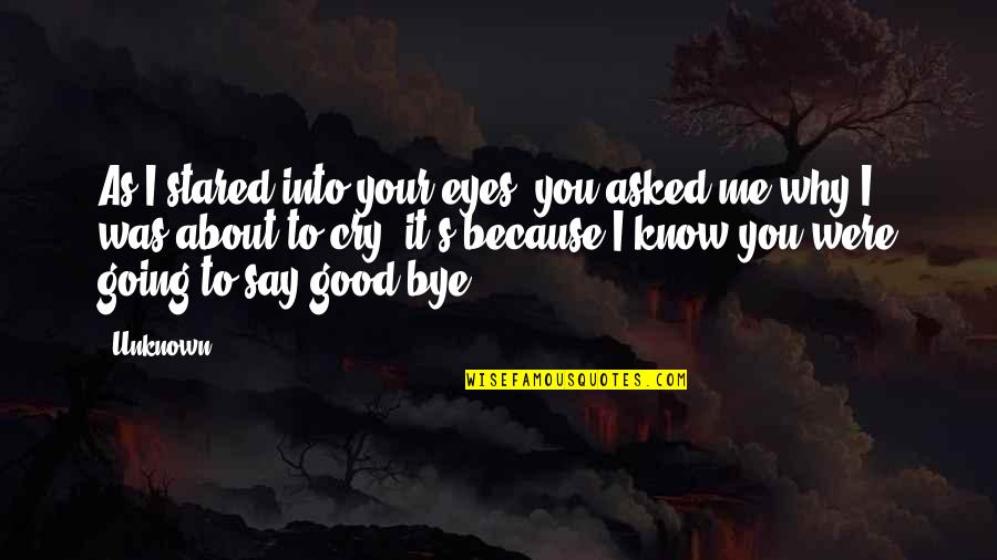 Uninsurable Dog Quotes By Unknown: As I stared into your eyes, you asked