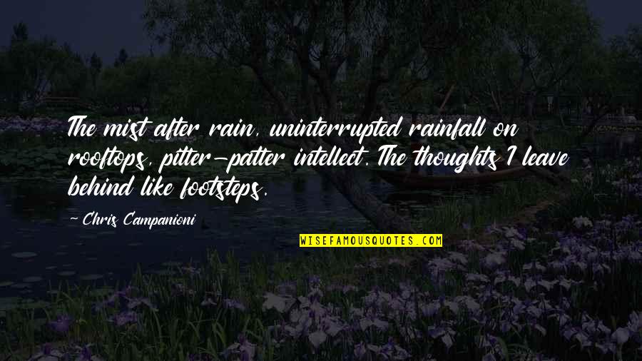 Uninterrupted Quotes By Chris Campanioni: The mist after rain, uninterrupted rainfall on rooftops,