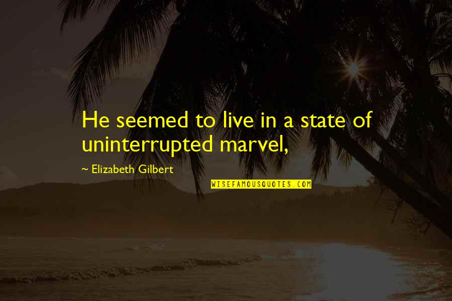 Uninterrupted Quotes By Elizabeth Gilbert: He seemed to live in a state of