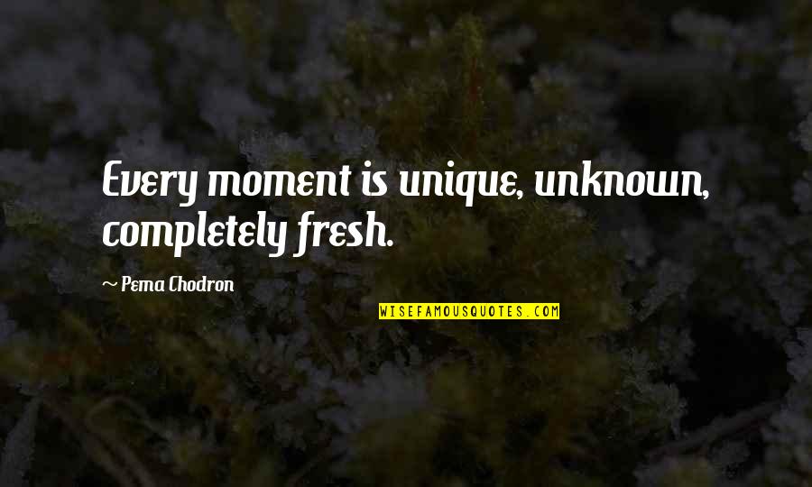Unique Moments Quotes By Pema Chodron: Every moment is unique, unknown, completely fresh.
