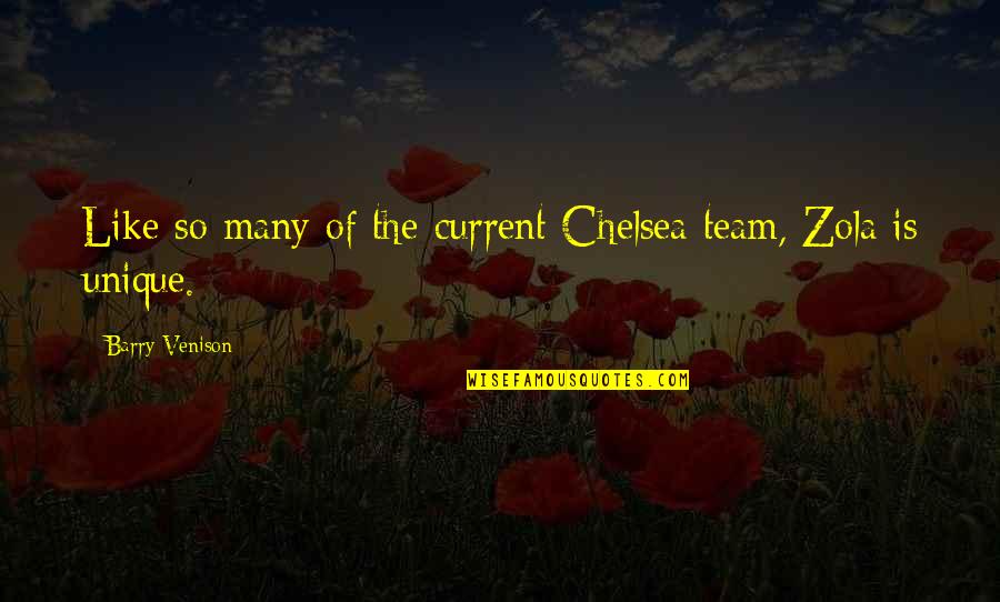 Unique Team Quotes By Barry Venison: Like so many of the current Chelsea team,