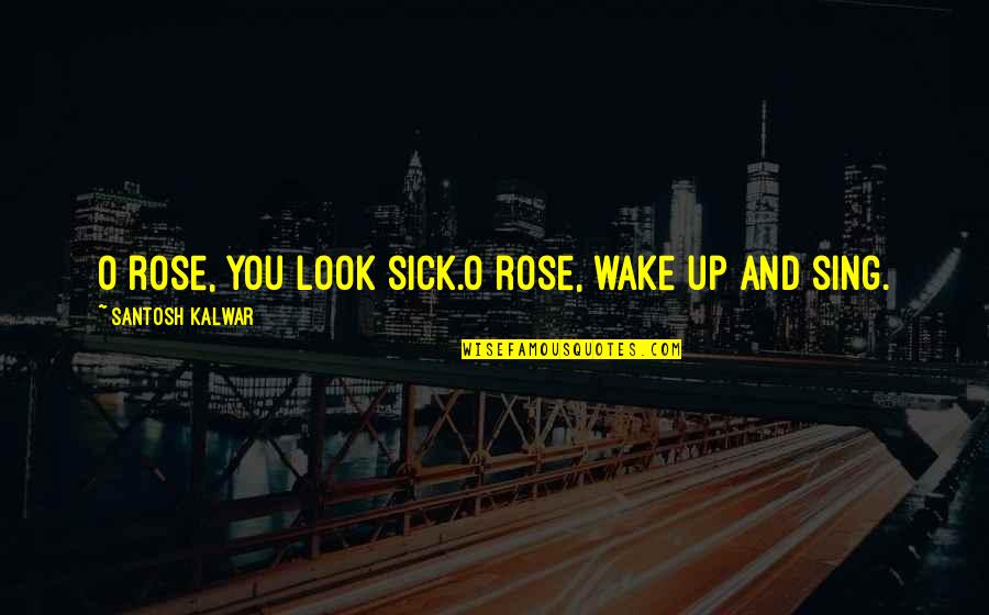 Unir Los 9 Quotes By Santosh Kalwar: O rose, you look sick.O rose, wake up