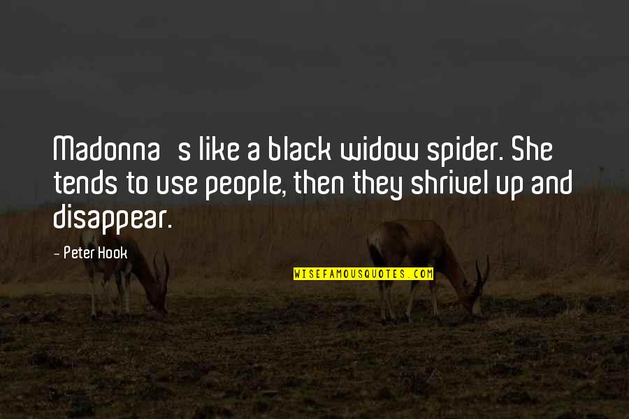 Unitarianism Quotes By Peter Hook: Madonna's like a black widow spider. She tends Unitarianism Quotes By Peter Hook: Madonna's like a black widow spider. She tends