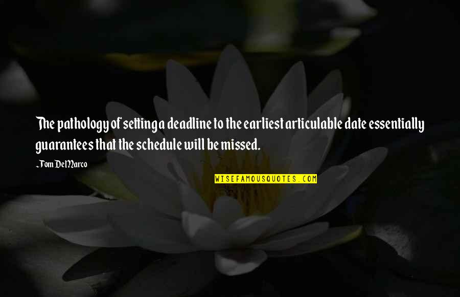 Unitate Emag Quotes By Tom DeMarco: The pathology of setting a deadline to the Unitate Emag Quotes By Tom DeMarco: The pathology of setting a deadline to the