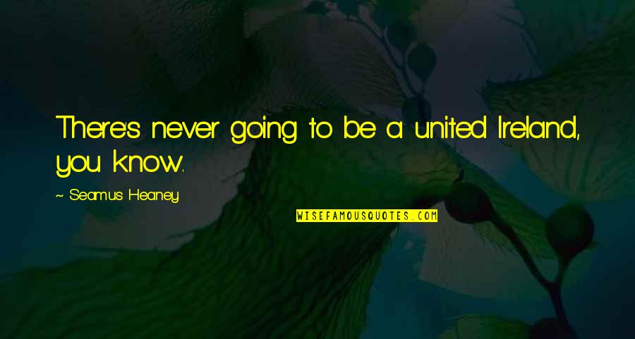 United Ireland Quotes By Seamus Heaney: There's never going to be a united Ireland,