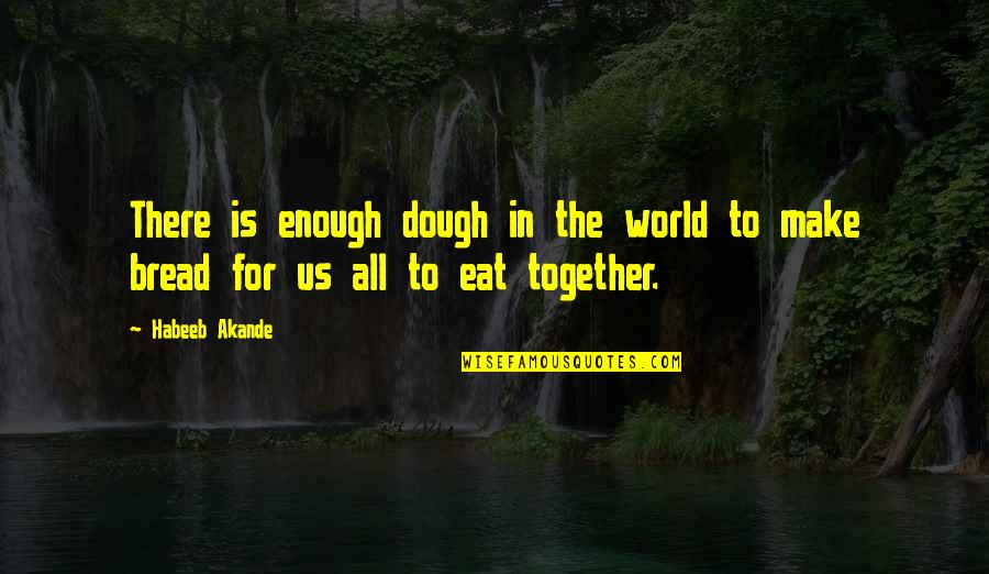 Unity And Working Together Quotes By Habeeb Akande: There is enough dough in the world to