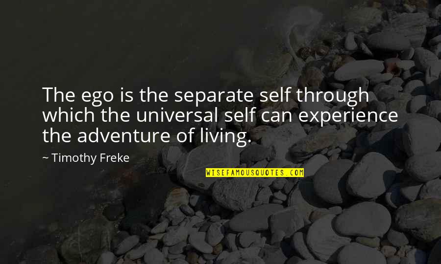 Universal Wisdom Quotes By Timothy Freke: The ego is the separate self through which