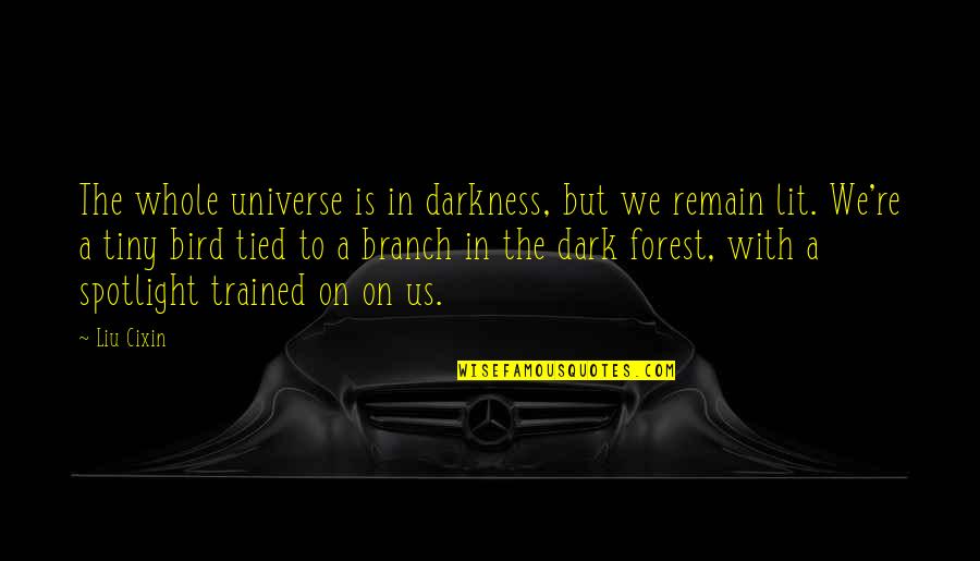 Universe In Us Quotes By Liu Cixin: The whole universe is in darkness, but we