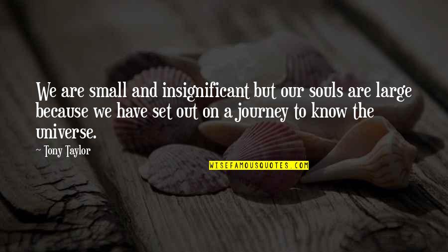 Universe Insignificant Quotes By Tony Taylor: We are small and insignificant but our souls