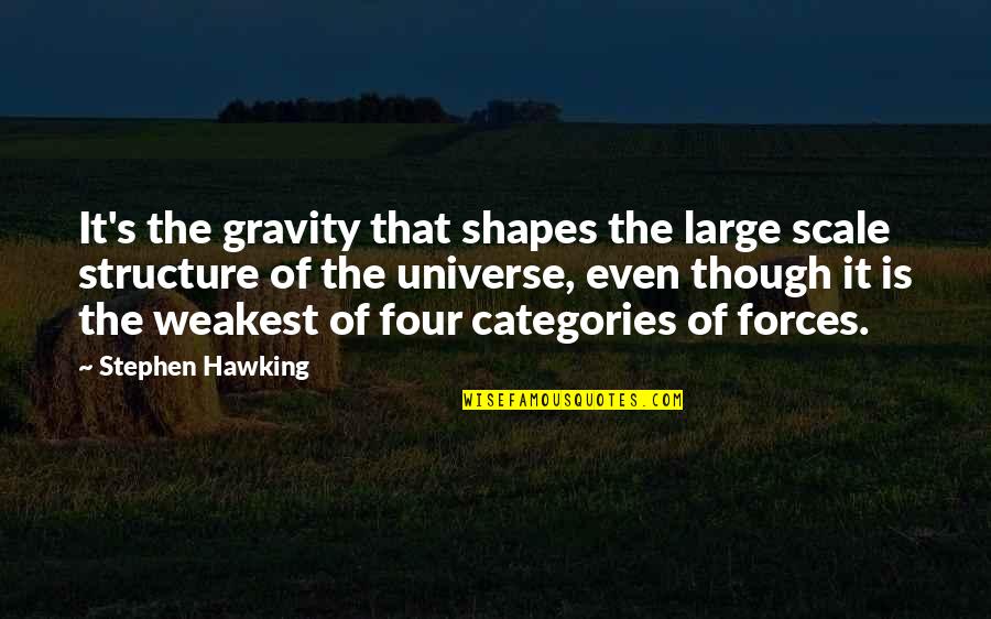 Universe Is Quotes By Stephen Hawking: It's the gravity that shapes the large scale