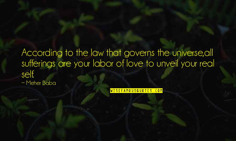 Universe Love Quotes By Meher Baba: According to the law that governs the universe,all