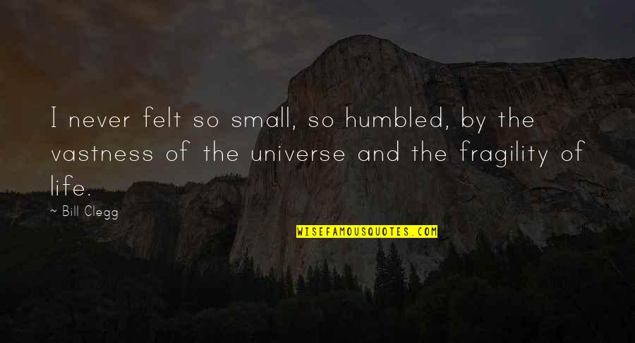 Universe Small Quotes By Bill Clegg: I never felt so small, so humbled, by