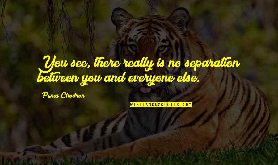 Universitat Quotes By Pema Chodron: You see, there really is no separation between