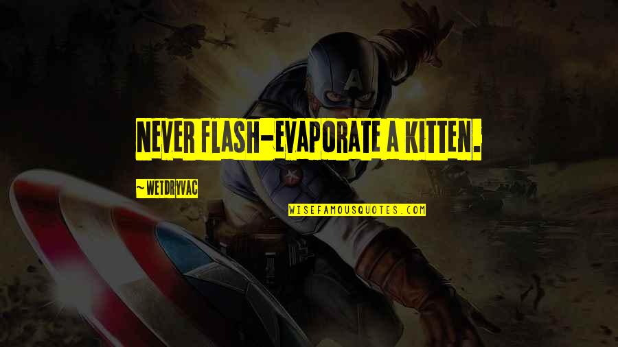 University Of Tennessee Football Quotes By Wetdryvac: Never flash-evaporate a kitten.