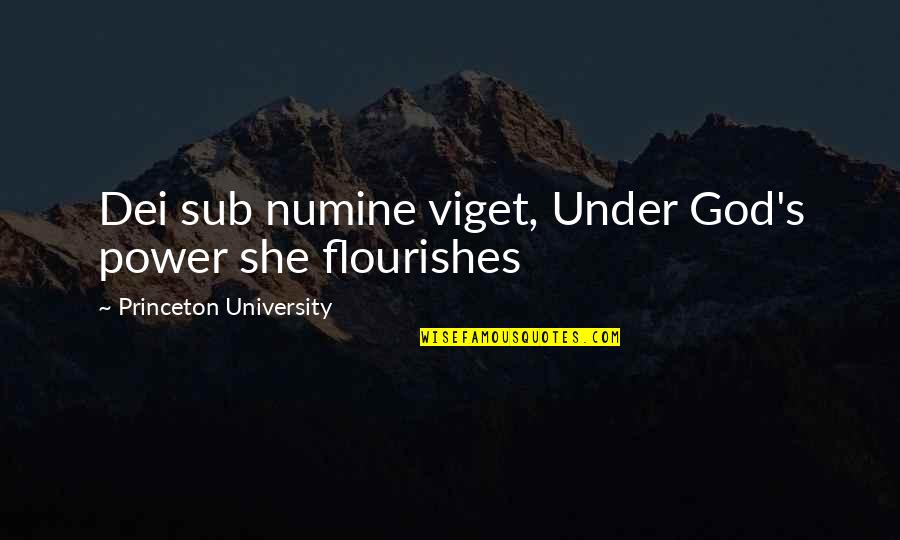 University's Quotes By Princeton University: Dei sub numine viget, Under God's power she