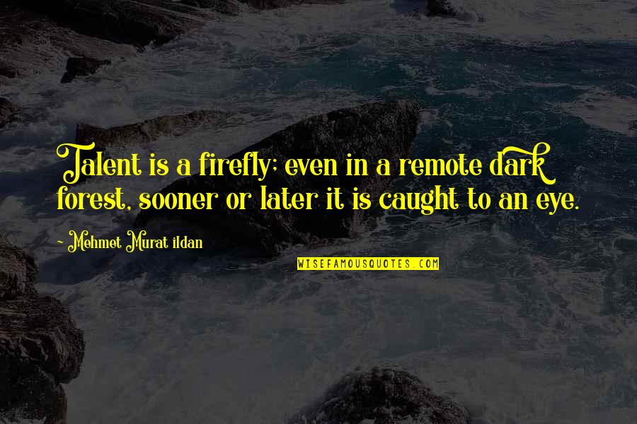 Unix Cut Quotes By Mehmet Murat Ildan: Talent is a firefly; even in a remote