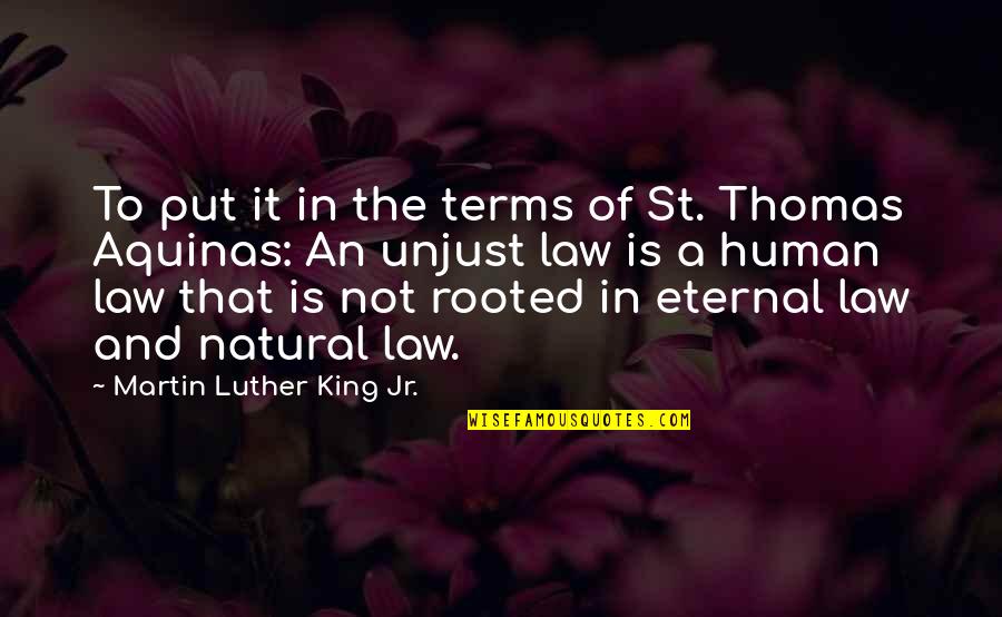 Unjust Quotes By Martin Luther King Jr.: To put it in the terms of St.