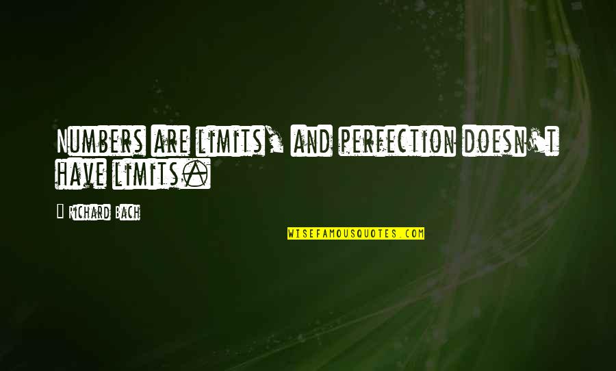 Unjustifiable Podcast Quotes By Richard Bach: Numbers are limits, and perfection doesn't have limits. Unjustifiable Podcast Quotes By Richard Bach: Numbers are limits, and perfection doesn't have limits.