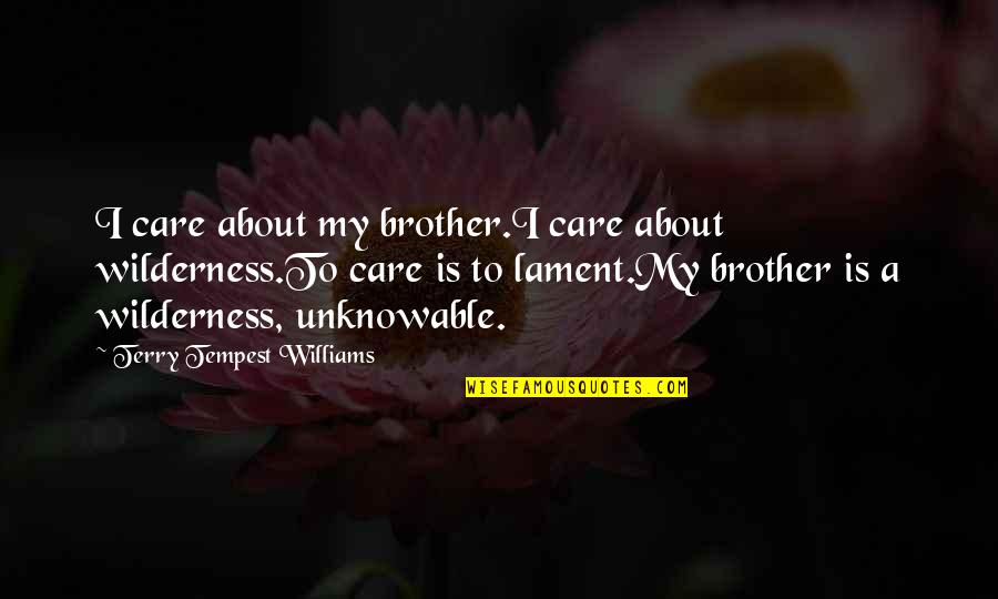 Unknowable Quotes By Terry Tempest Williams: I care about my brother.I care about wilderness.To