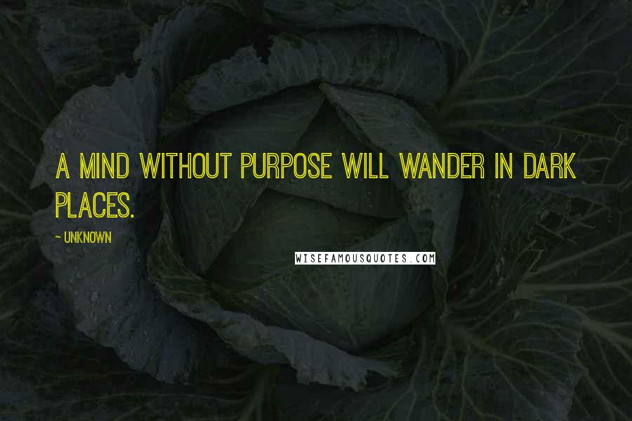 Unknown quotes: A mind without purpose will wander in dark places.