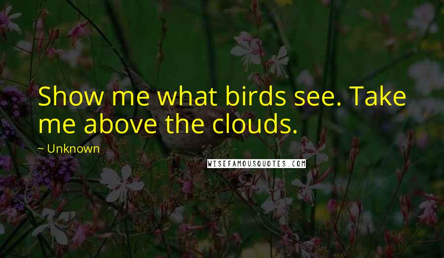 Unknown quotes: Show me what birds see. Take me above the clouds.