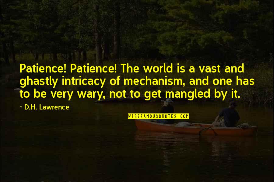 Unlaced Quotes By D.H. Lawrence: Patience! Patience! The world is a vast and