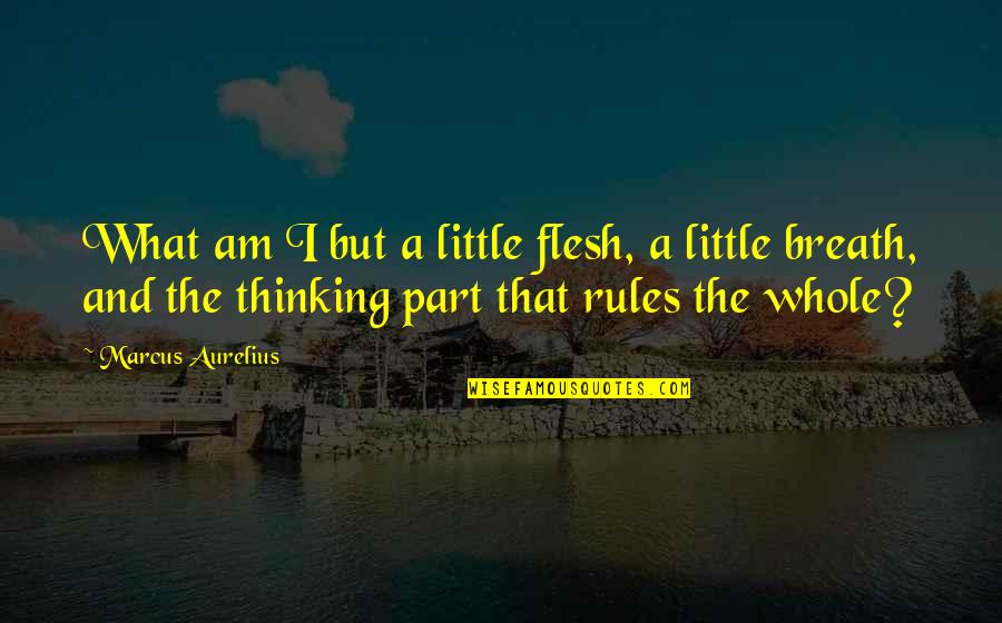 Unlawful Detention Quotes By Marcus Aurelius: What am I but a little flesh, a Unlawful Detention Quotes By Marcus Aurelius: What am I but a little flesh, a