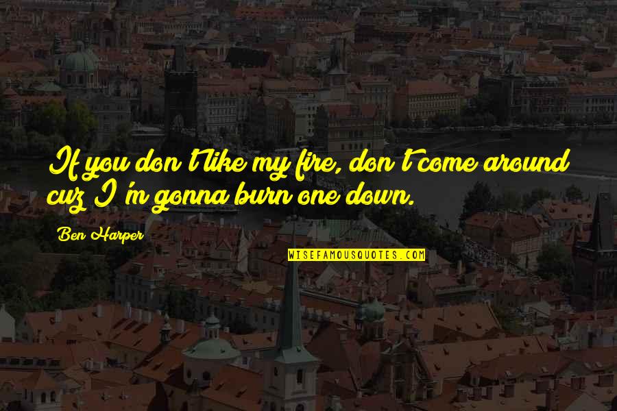 Unluckiest Zodiac Quotes By Ben Harper: If you don't like my fire, don't come