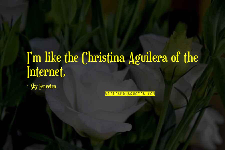 Unmarketing Quotes By Sky Ferreira: I'm like the Christina Aguilera of the Internet.