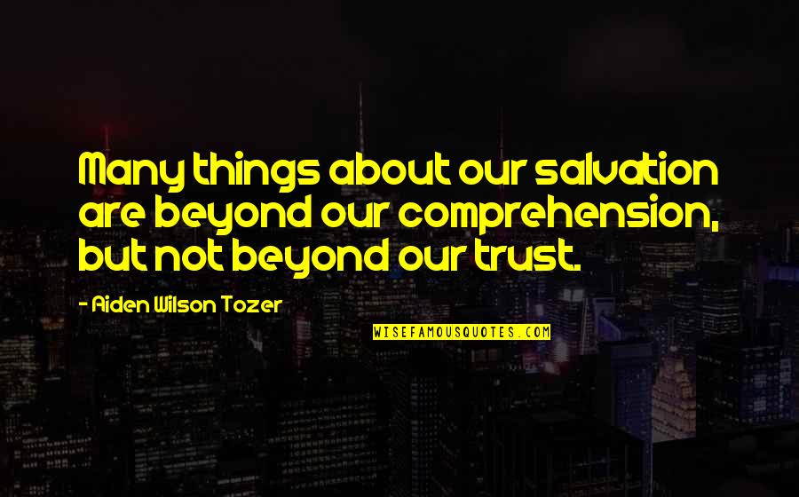 Unmeasured Anions Quotes By Aiden Wilson Tozer: Many things about our salvation are beyond our Unmeasured Anions Quotes By Aiden Wilson Tozer: Many things about our salvation are beyond our