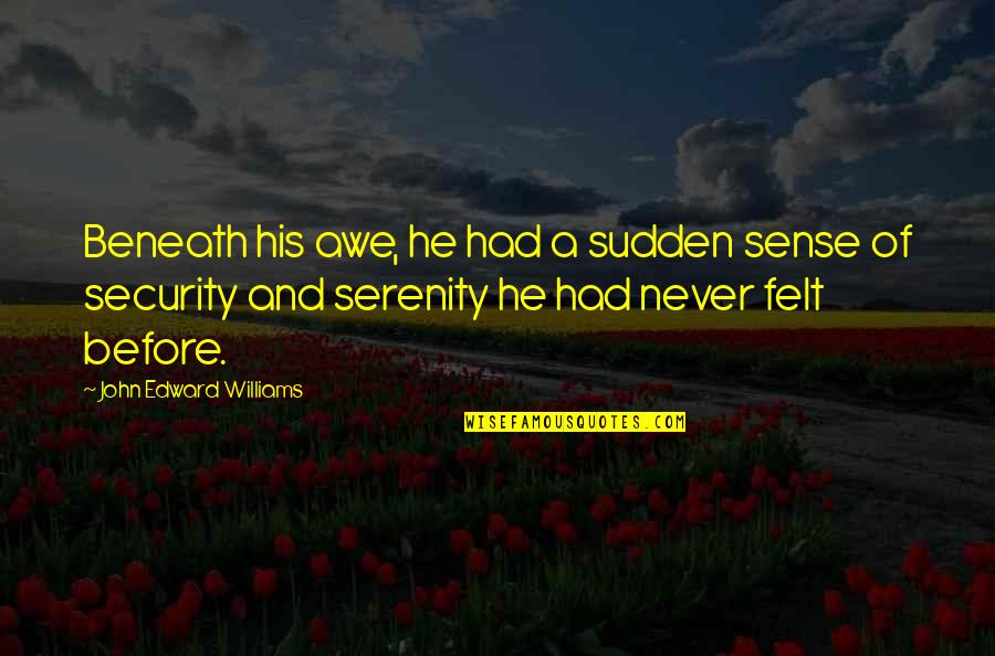 Unmgliche Quotes By John Edward Williams: Beneath his awe, he had a sudden sense Unmgliche Quotes By John Edward Williams: Beneath his awe, he had a sudden sense