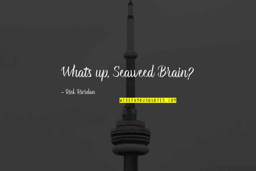 Unmittelbar Synonym Quotes By Rick Riordan: Whats up, Seaweed Brain?