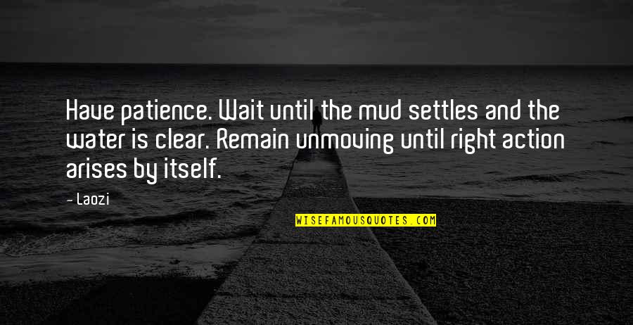 Unmoving Quotes By Laozi: Have patience. Wait until the mud settles and