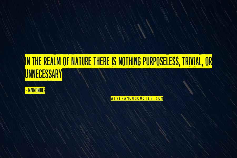 Unnecessary Quotes By Maimonides: In the realm of Nature there is nothing