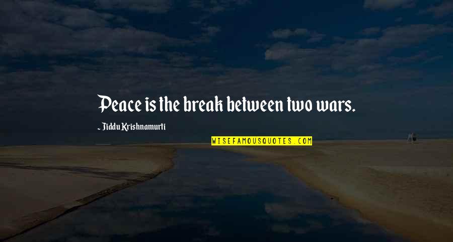 Unnecessary Relationship Quotes By Jiddu Krishnamurti: Peace is the break between two wars.