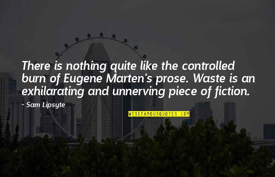 Unnerving Quotes By Sam Lipsyte: There is nothing quite like the controlled burn Unnerving Quotes By Sam Lipsyte: There is nothing quite like the controlled burn