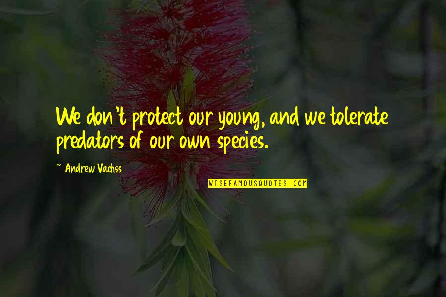 Unnies Quotes By Andrew Vachss: We don't protect our young, and we tolerate