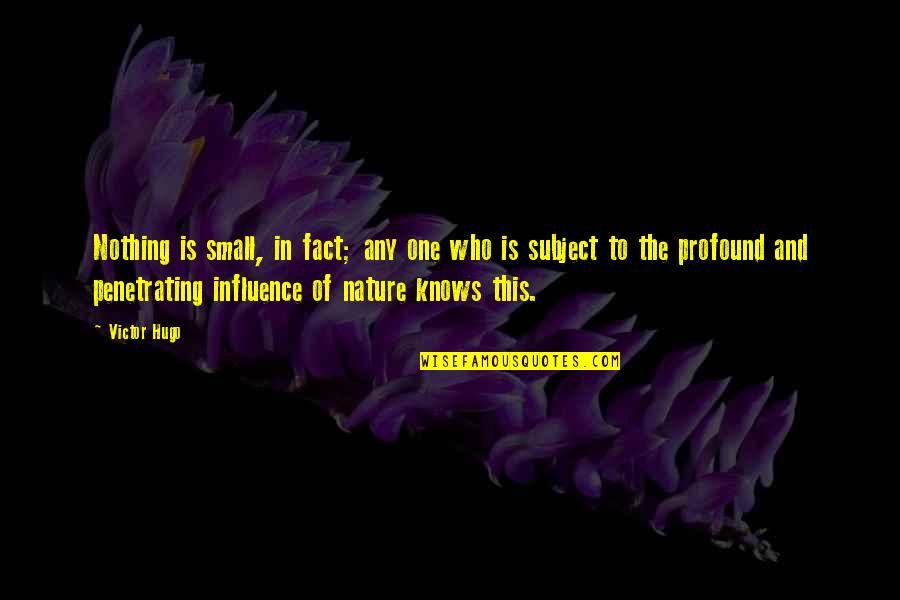 Unnikrishnan Namboothiri Quotes By Victor Hugo: Nothing is small, in fact; any one who Unnikrishnan Namboothiri Quotes By Victor Hugo: Nothing is small, in fact; any one who